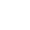 Play Icon